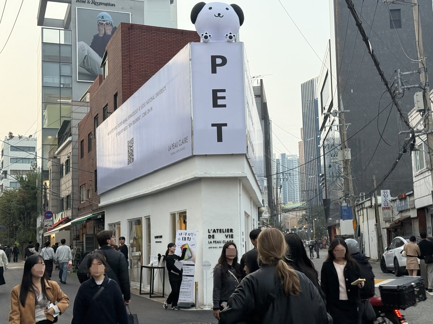 본문 이미지 - 라퓨클레르 팝업스토어 외부 전경, 대형 강아지 조형물이 옥상에 설치돼 있다&#40;병원 제공&#41;. ⓒ 뉴스1