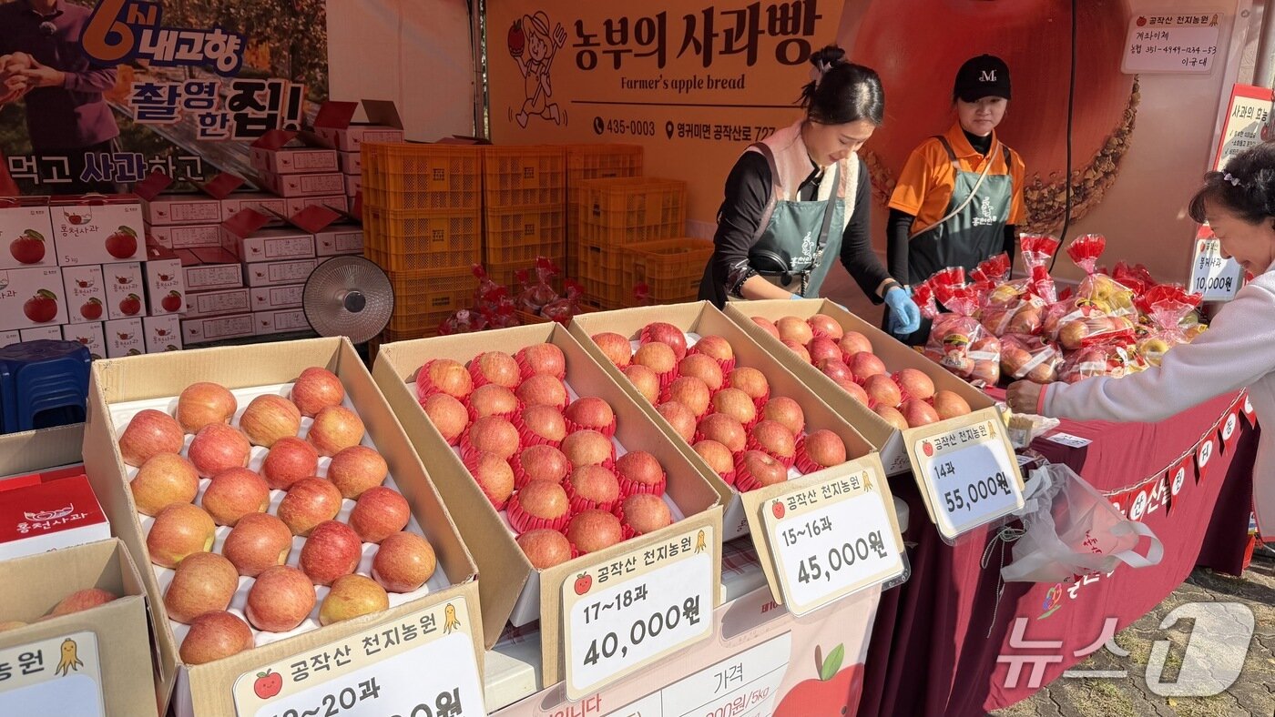 본문 이미지 - &#39;제23회 홍천 인삼·한우 명품축제&#39;‧&#39;제10회 홍천사과축제&#39;.&#40;홍천군 제공. 재판매 및 DB금지&#41;/뉴스1