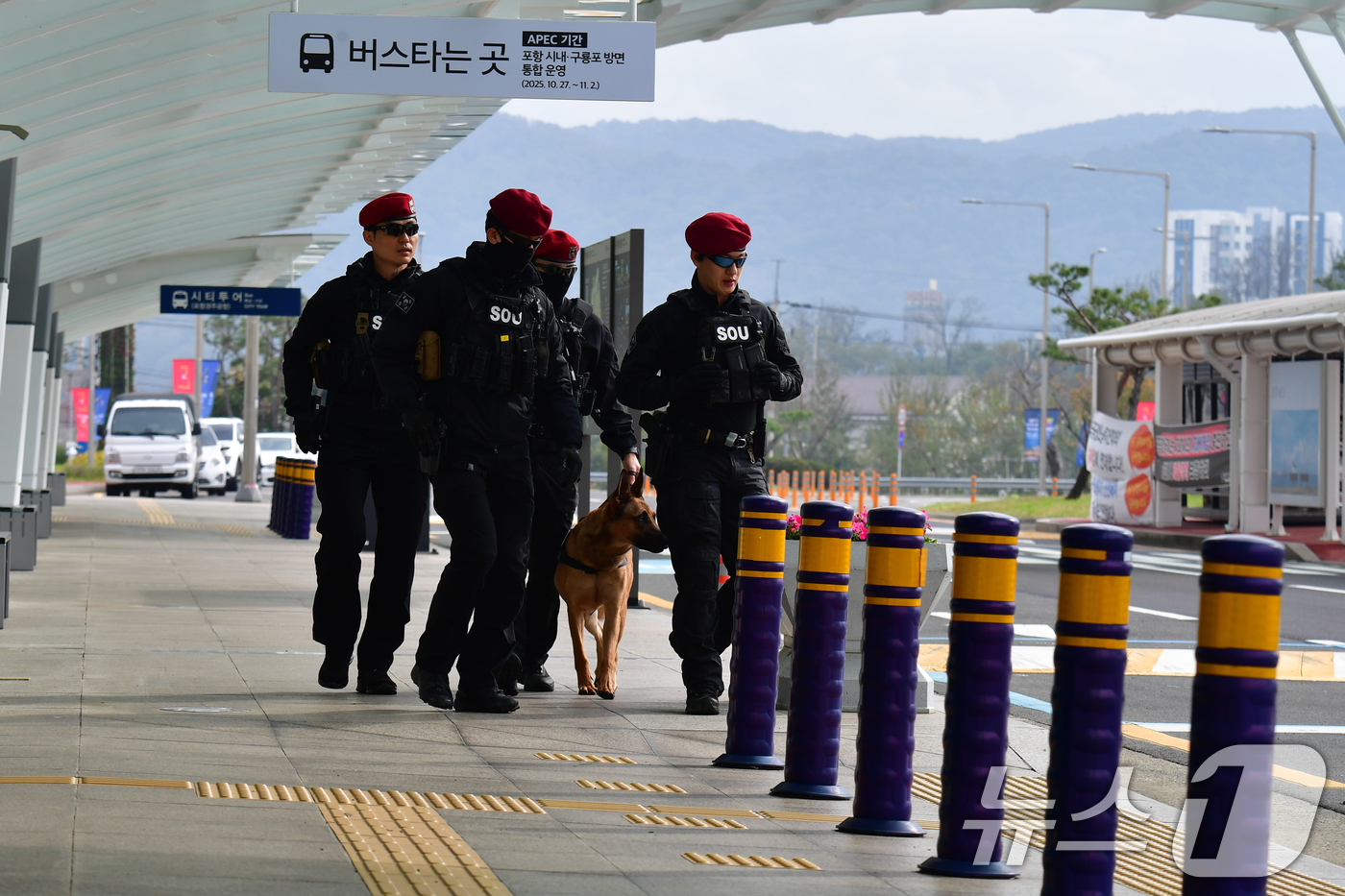(포항=뉴스1) 최창호 기자 = 31일 아시아태평양경제협력체 (APEC) 글로벌 CEO 전용공항인 포항경주공항에서 경찰특공대가 주변 경계를 강화하고 있다. 2025.10.31/뉴스 …