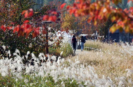 [오늘의 날씨] 울산(14일, 금)…맑음, 강풍에 체감온도 '뚝'