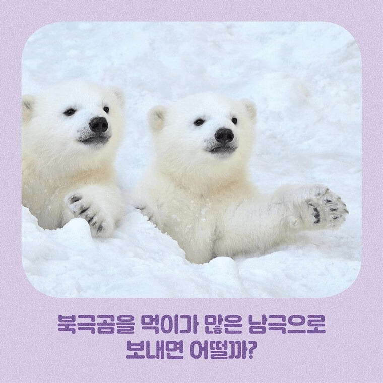 본문 이미지 - [신간] &#39;지구가 더워져서 판다가 많이 아파&#39;