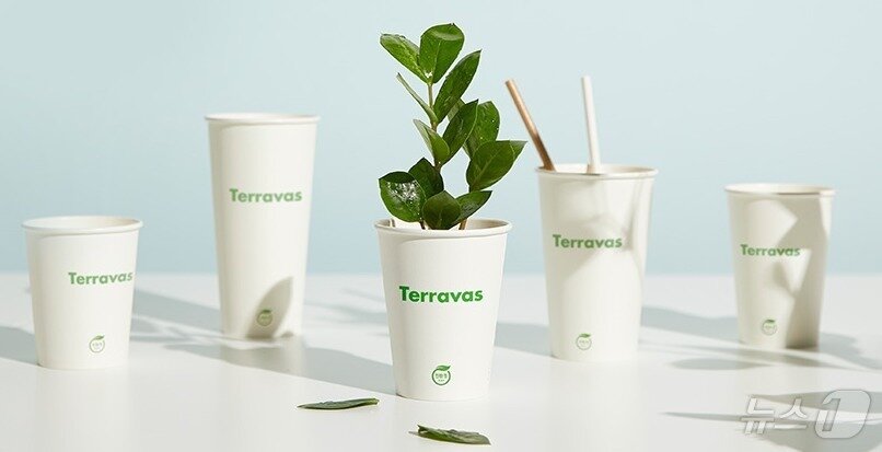 본문 이미지 - 테라바스가 적용된 커피컵. (한솔제지 제공)