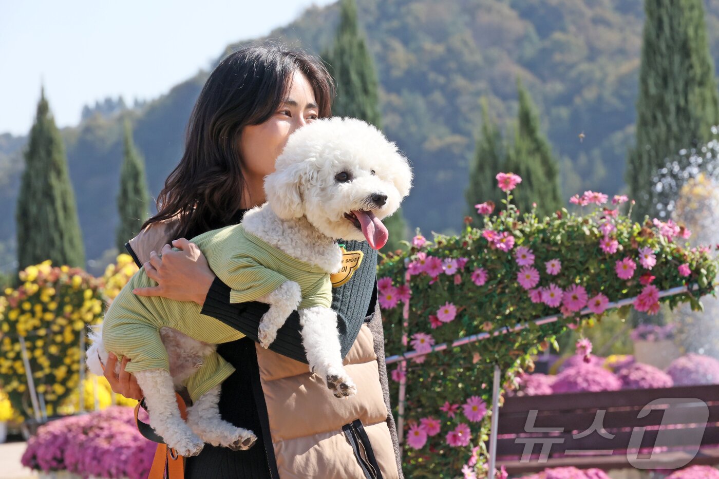 본문 이미지 - 31일 전북 임실군 치즈테마파크에서 열린 두 번째 펫투어에서 견주가 반려견을 안고 행사장을 걷고 있다. &#40;임실군제공. 재판매 및 DB금지&#41;2025.10.31/뉴스1 ⓒ News1 김동규 기자