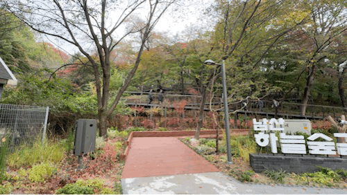 본문 이미지 - 가을 단풍이 물든 ‘남산 하늘숲길’ 초입을 시민들이 걷고 있다. 2025.10.31/뉴스1 ⓒ News1 한지명 기자