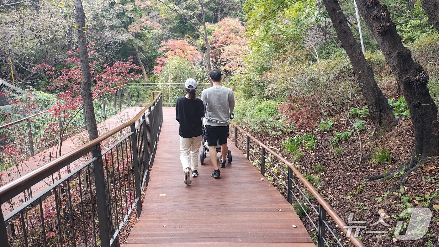 본문 이미지 - 유모차를 밀며 완만한 데크길을 걷는 부부의 모습. &#39;남산 하늘숲길&#39;은 경사 8% 이내의 무장애 산책로다. 2025.10.31/뉴스1 ⓒ News1 한지명 기자