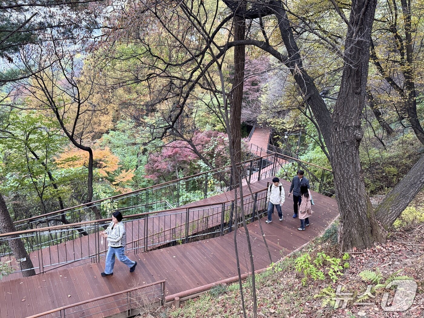 본문 이미지 - 아이 둘을 데리고 한 가족이 &#39;남산 하늘숲길&#39;을 걸어 올라가고 있다. 2025.10.31/뉴스1 ⓒ News1 한지명 기자