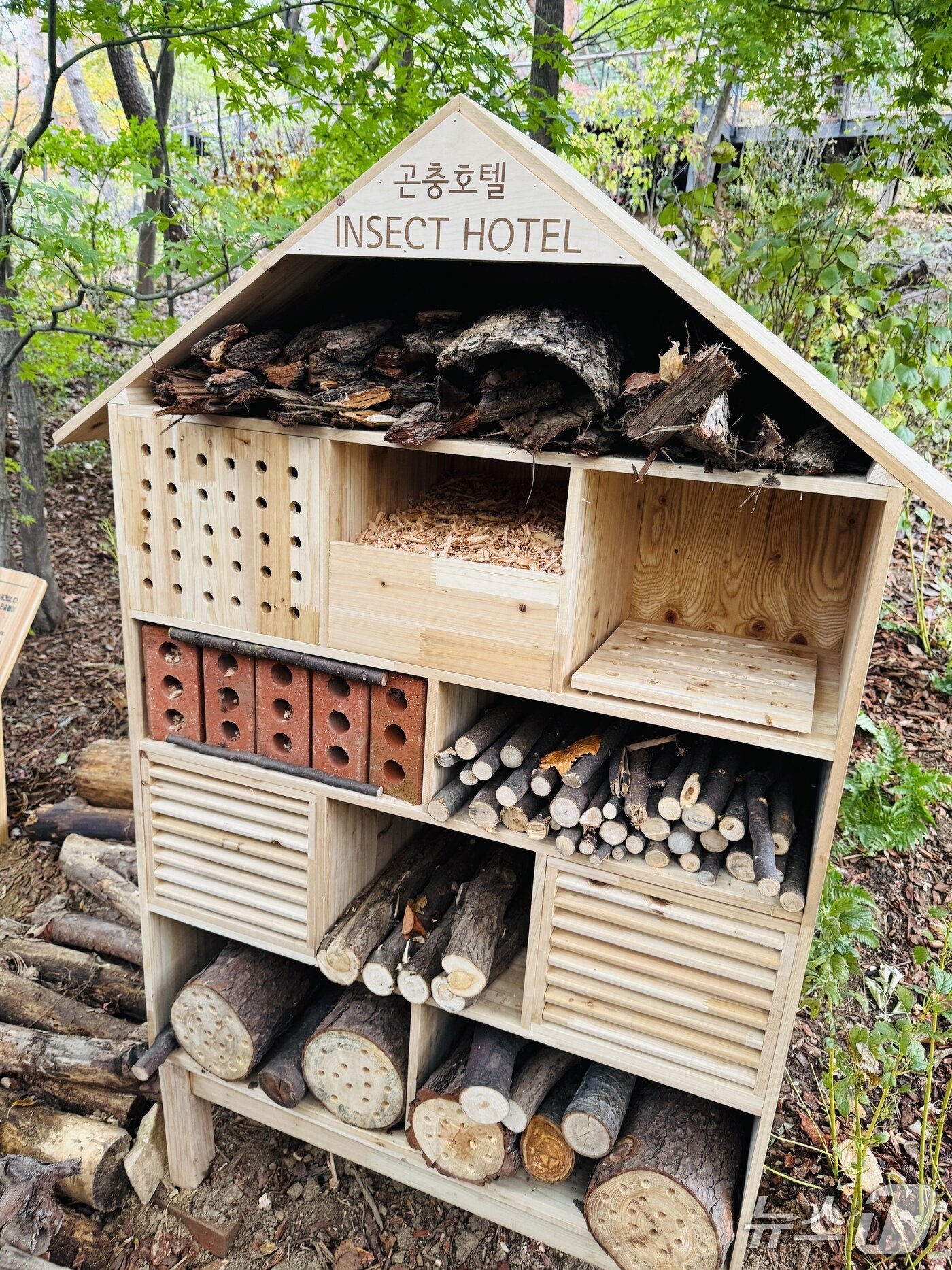 본문 이미지 - 나무와 지푸라기로 꾸민 &#39;곤충호텔&#39;. 곤충이 머물 수 있도록 조성한 생태 공간이다. 2025.10.31/뉴스1 ⓒ News1 한지명 기자