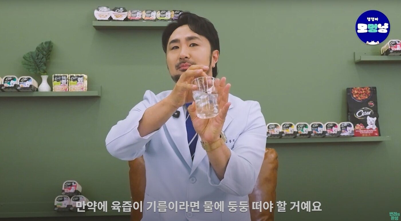 본문 이미지 - 심용희 수의사는 한국마즈의 대표 습식 제품 &#39;시저&#39;에 대한 오해도 사실과 다르다고 전했다&#40;유튜브 갈무리&#41;. ⓒ 뉴스1