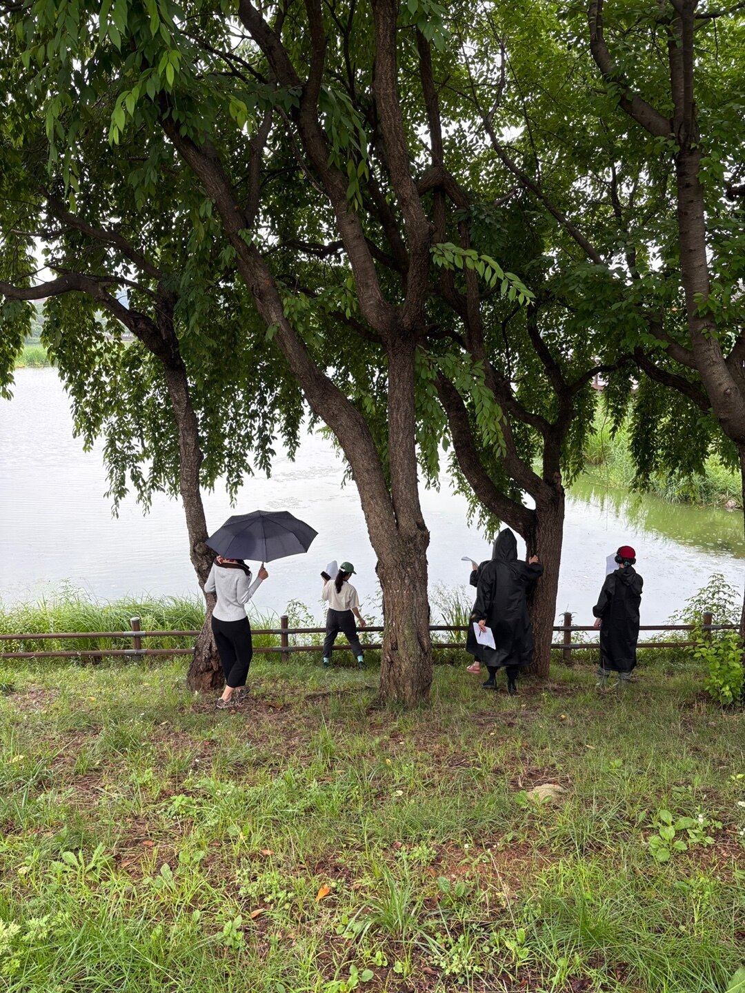본문 이미지 - 박선민, 늪의 노래 – 사운드 드리프팅 관객 참여형 몰입 사운드 스케이프, '기다림이 끝나는 날에도' (경기도미술관 제공)