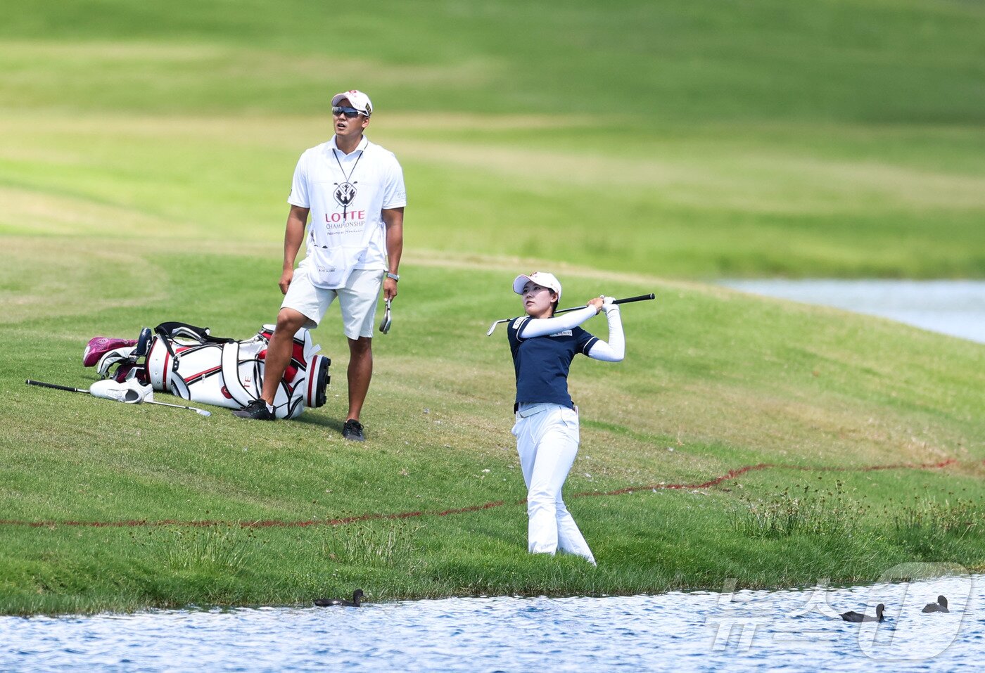 본문 이미지 - 황유민이 4일&#40;현지시간&#41; 하와이 오하우섬 에바비치에 위치한 호아칼레이CC에서 열린 &#39;2025 롯데 챔피언십&#39; FR 5번홀에서 트러블샷을 하고 있다. &#40;대홍기획 제공. 재판매 및 DB 금지&#41; 2025.10.5/뉴스1