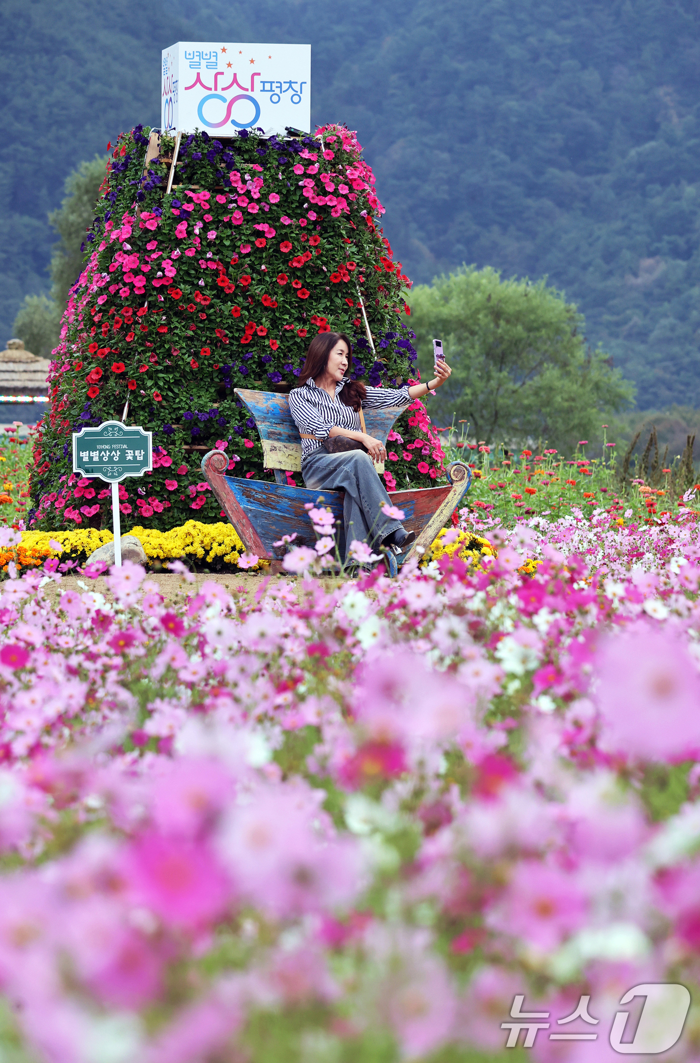 (서울=뉴스1) = 5일 오후 강원 평창읍 평창강 일원에서 열린 2025 평창 백일홍축제에서 시민들이 연휴를 즐기고 있다. (평창군 제공. 재판매 및 DB 금지) 2025.10.5 …