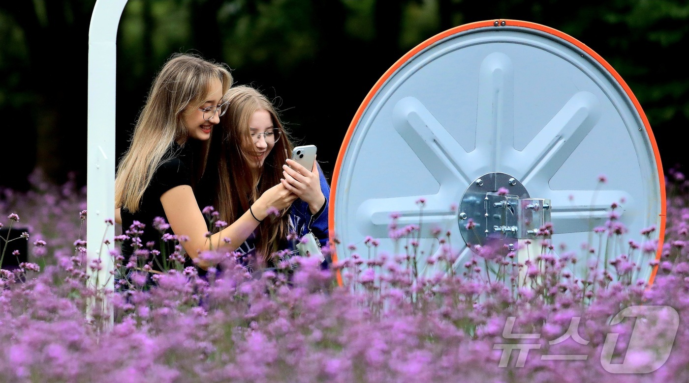 (인제=뉴스1) 신관호 기자 = \'2025 인제 가을꽃 축제\'가 지난달 27일부터 오는 19일까지 강원 인제군 북면 용대리 일원에서 열리고 있는 가운데 외국인 관광객들이 지난 …