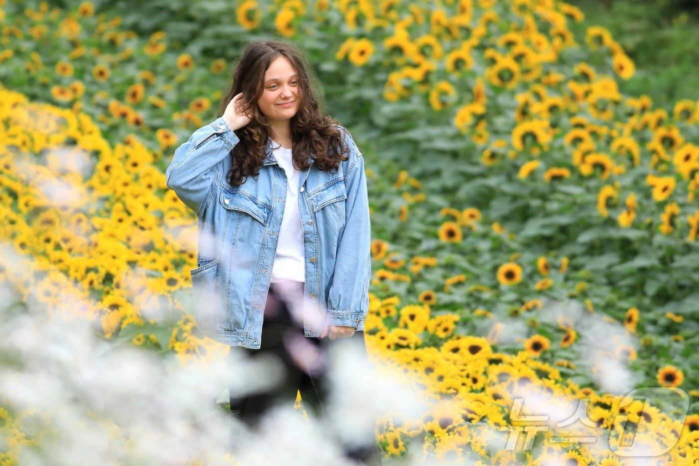 (인제=뉴스1) 신관호 기자 = \'2025 인제 가을꽃 축제\'가 지난달 27일부터 오는 19일까지 강원 인제군 북면 용대리 일원에서 열리고 있는 가운데 외국인 관광객들이 지난 …