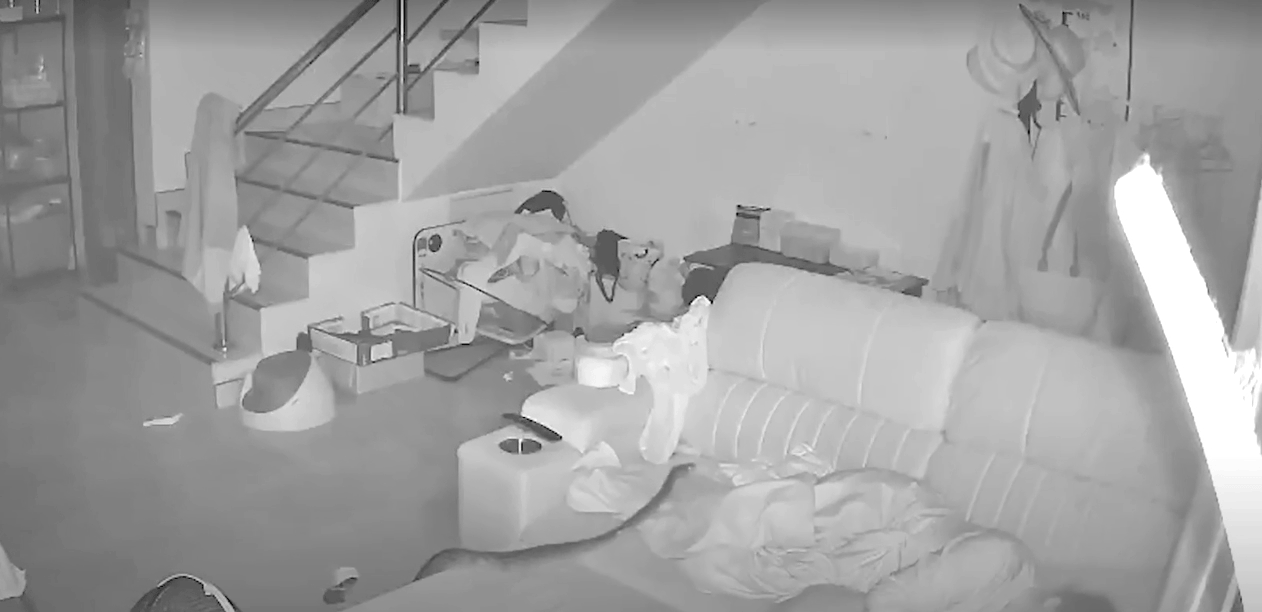 본문 이미지 - 지난달 26일&#40;현지시간&#41; 태국 남부 송쿨라주 한 주택에서 여성이 잠든 소파 위에 올라간 비단뱀의 모습. &#40;출처=카메라원&#41;