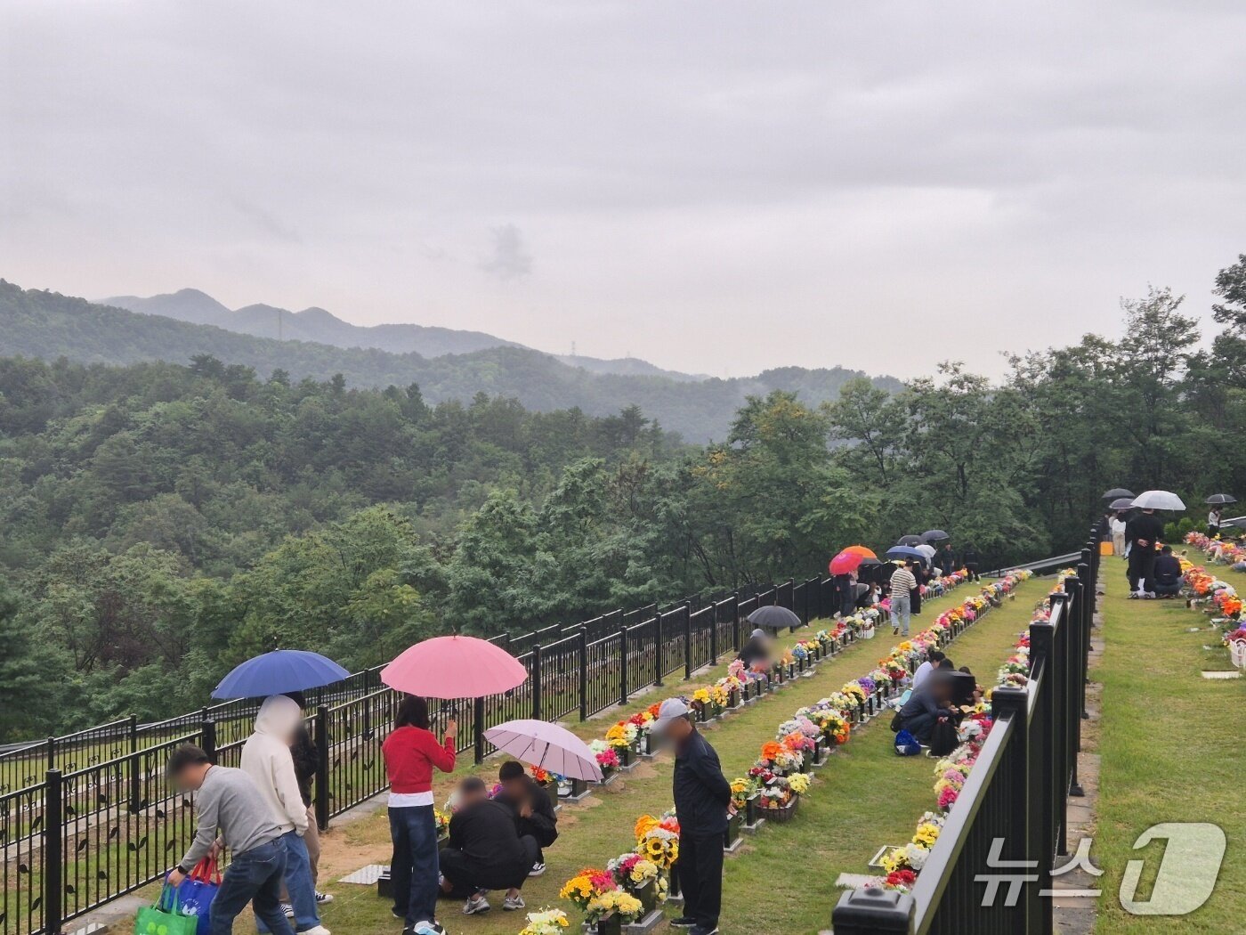 본문 이미지 - 추석 명절인 6일 강원 동해시 공설묘원인 하늘정원이 비 내리는 날씨에도 성묘객들로 가득하다. 2025.10.6/뉴스1 윤왕근 기자