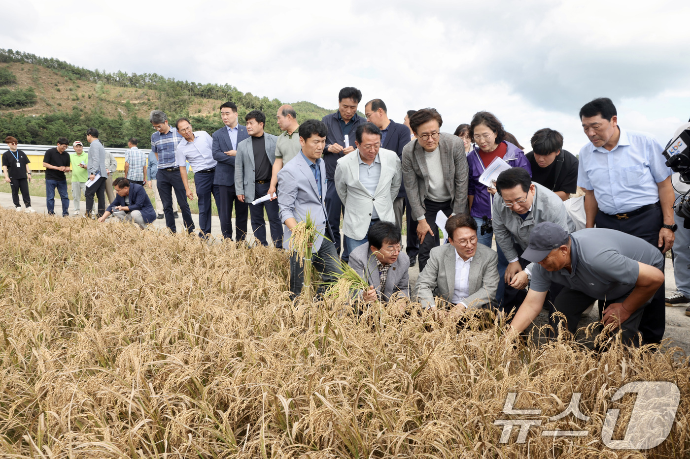 (서울=뉴스1) 임세영 기자 = 김민석 국무총리가 7일 오후 전남 장흥군 안양면 해창리 일원을 방문, ‘벼 깨씨무늬병’ 피해 현장을 점검하고 있다. (총리실 제공. 재판매 및 DB …