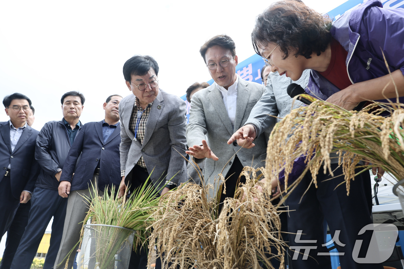 (서울=뉴스1) 임세영 기자 = 김민석 국무총리가 7일 오후 전남 장흥군 안양면 해창리 일원을 방문, ‘벼 깨씨무늬병’ 피해 현장을 점검하고 있다. (총리실 제공. 재판매 및 DB …
