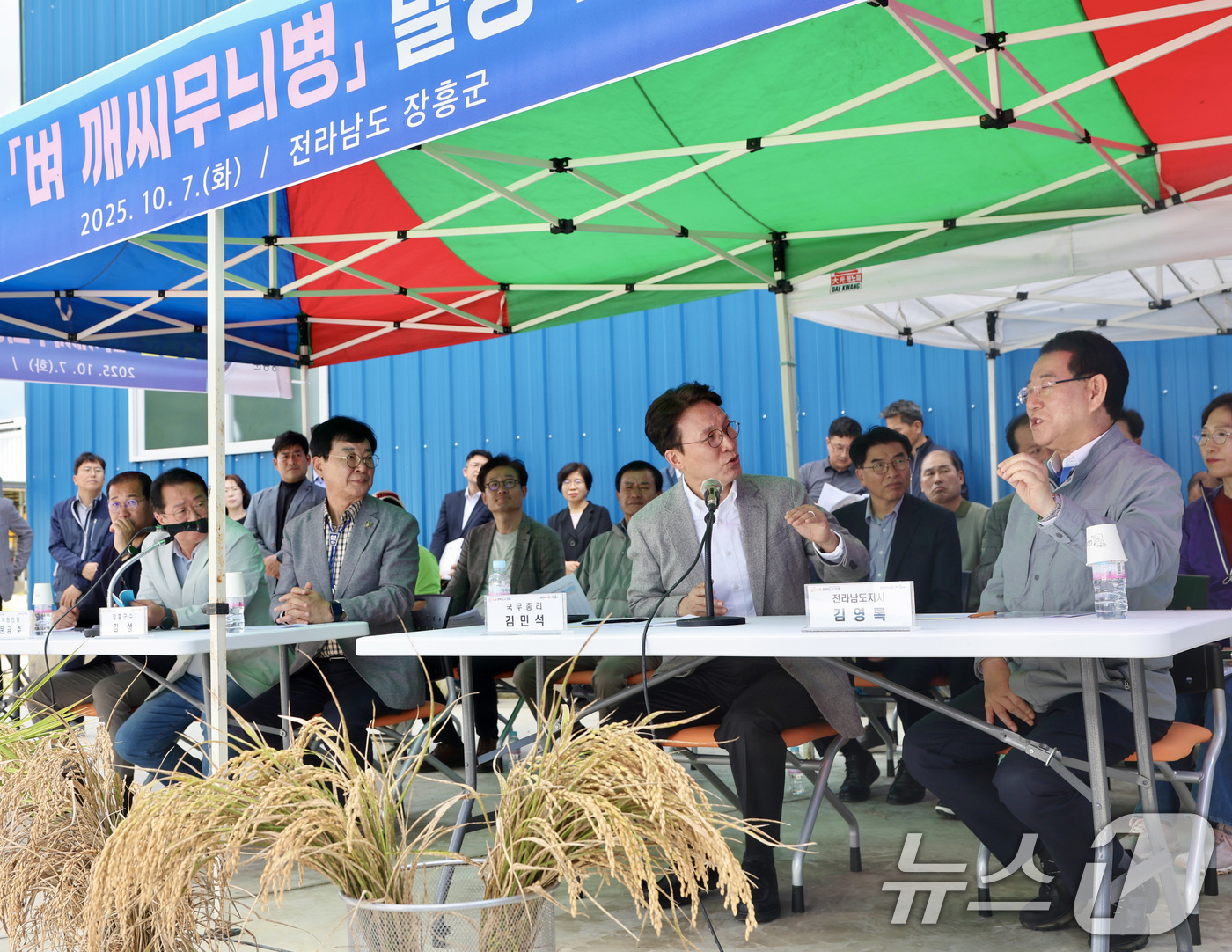 (서울=뉴스1) 임세영 기자 = 김민석 국무총리가 7일 오후 전남 장흥군 안양면 해창리 일원을 방문, ‘벼 깨씨무늬병’ 피해 현장을 점검하고 있다. (총리실 제공. 재판매 및 DB …