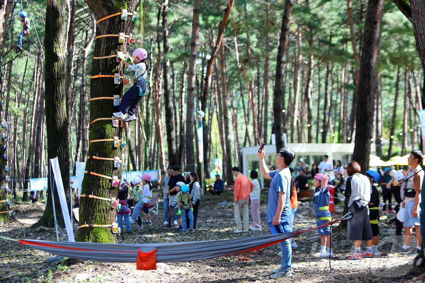 (인제=뉴스1) 이종재 기자 = 8일 강원 인제군 북면 용대리 일원에서 열린 \'2025 인제 가을꽃 축제\'를 찾은 관광객들이 다양한 체험을 즐기고 있다. 지난달 27일 개막한 …