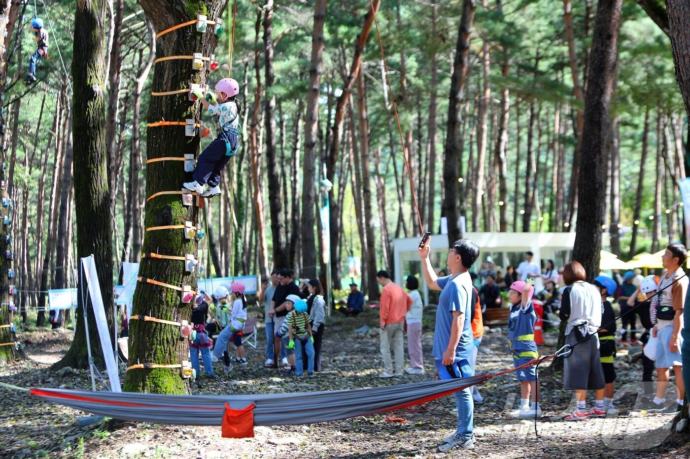 본문 이미지 - 8일 강원 인제군 북면 용대리 일원에서 열린 &#39;2025 인제 가을꽃 축제&#39;를 찾은 관광객들이 다양한 체험을 즐기고 있다. &#40;인제군 제공. 재판매 및 DB금지&#41; 2025.10.8/뉴스1 