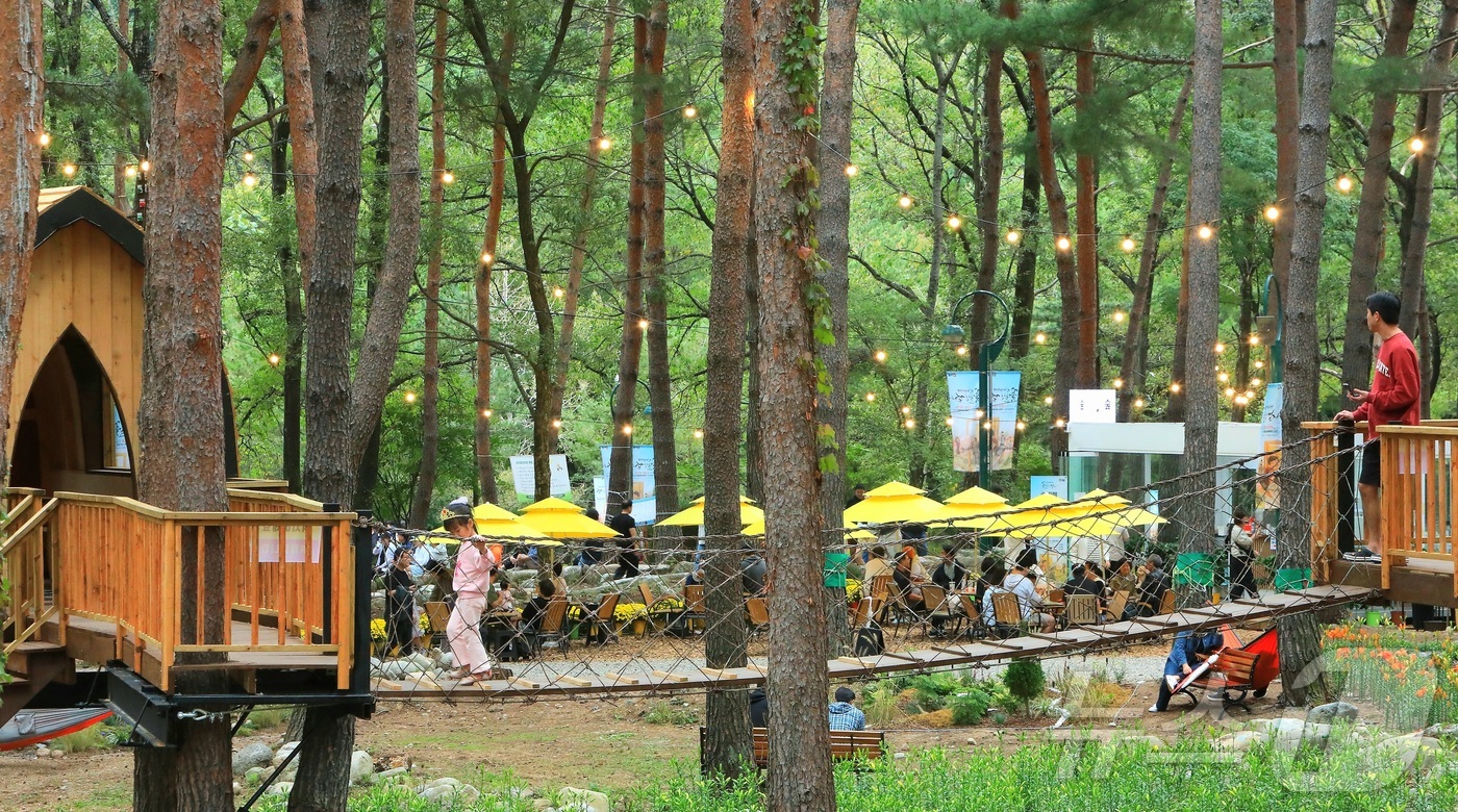 (인제=뉴스1) 이종재 기자 = 8일 강원 인제군 북면 용대리 일원에서 열린 \'2025 인제 가을꽃 축제\'를 찾은 관광객들이 다양한 체험을 즐기고 있다. 지난달 27일 개막한 …