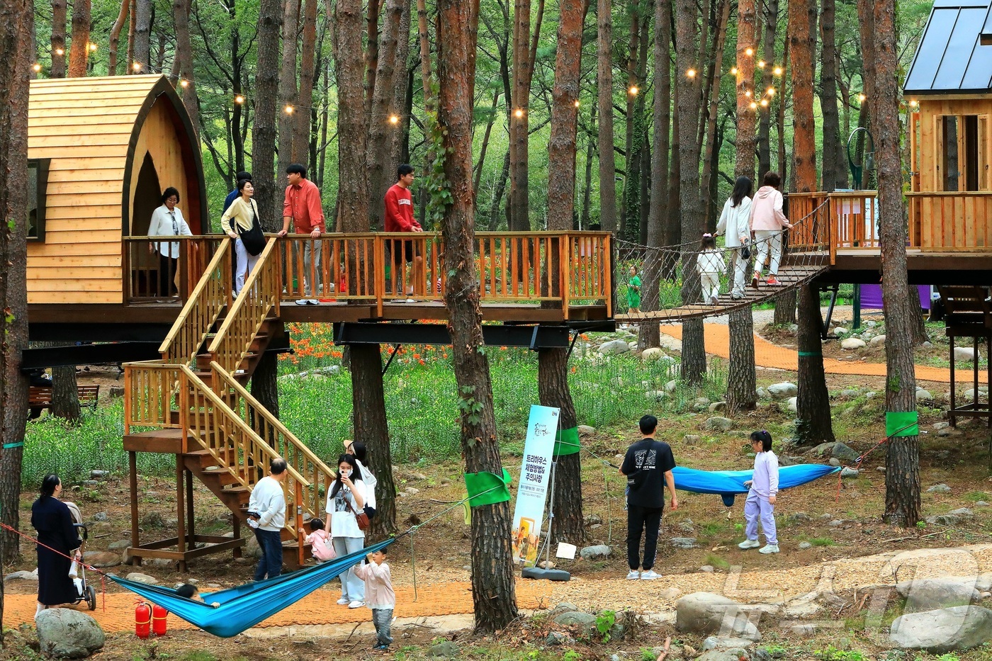 (인제=뉴스1) 이종재 기자 = 8일 강원 인제군 북면 용대리 일원에서 열린 \'2025 인제 가을꽃 축제\'를 찾은 관광객들이 다양한 체험을 즐기고 있다. 지난달 27일 개막한 …