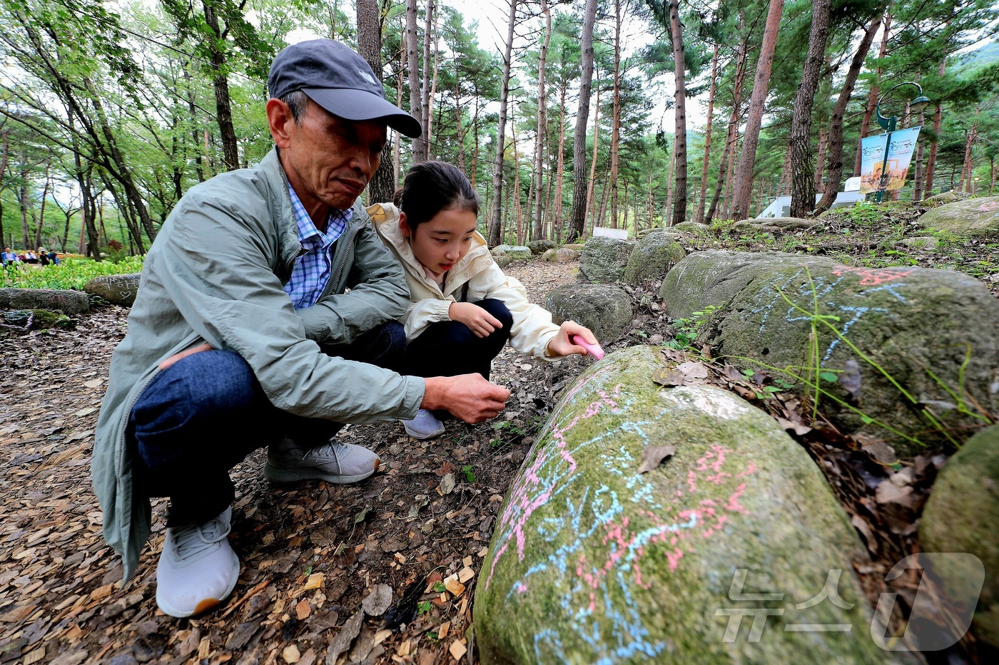 (인제=뉴스1) 이종재 기자 = 8일 강원 인제군 북면 용대리 일원에서 열린 \'2025 인제 가을꽃 축제\'를 찾은 관광객들이 다양한 체험을 즐기고 있다. 지난달 27일 개막한 …