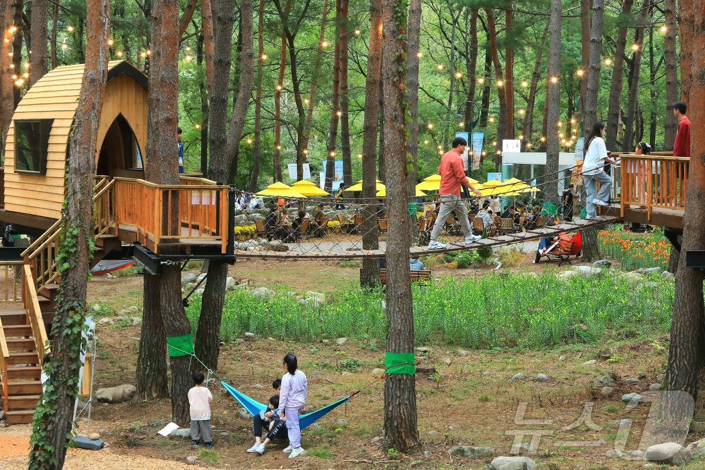 (인제=뉴스1) 이종재 기자 = 8일 강원 인제군 북면 용대리 일원에서 열린 \'2025 인제 가을꽃 축제\'를 찾은 관광객들이 다양한 체험을 즐기고 있다. 지난달 27일 개막한 …