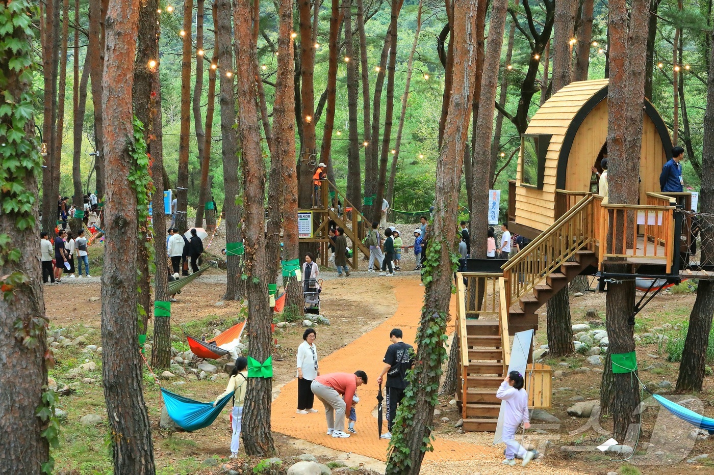 (인제=뉴스1) 이종재 기자 = 8일 강원 인제군 북면 용대리 일원에서 열린 \'2025 인제 가을꽃 축제\'를 찾은 관광객들이 다양한 체험을 즐기고 있다. 지난달 27일 개막한 …