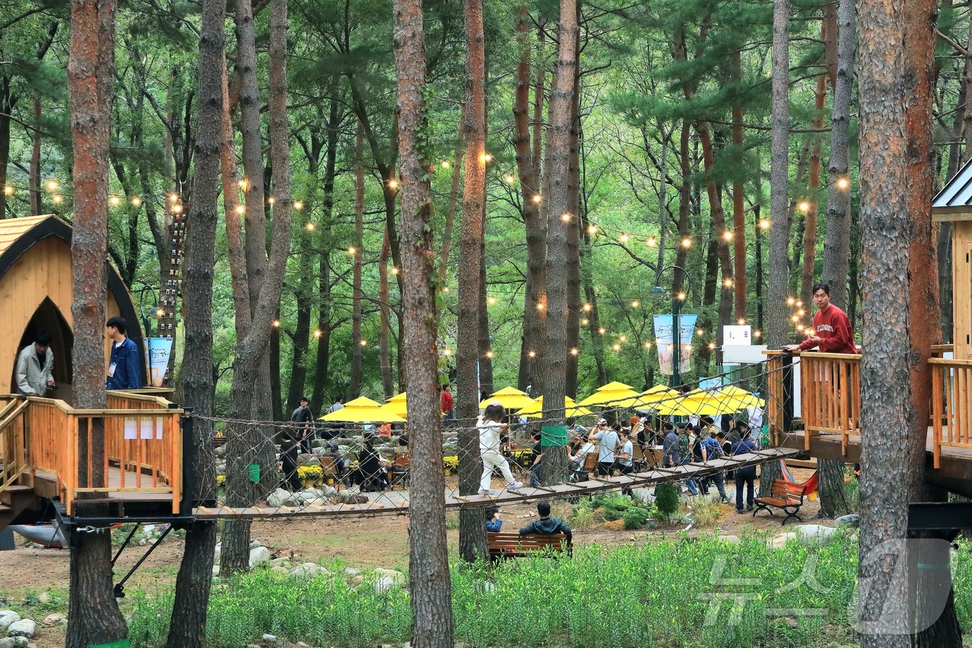 (인제=뉴스1) 이종재 기자 = 8일 강원 인제군 북면 용대리 일원에서 열린 \'2025 인제 가을꽃 축제\'를 찾은 관광객들이 다양한 체험을 즐기고 있다. 지난달 27일 개막한 …