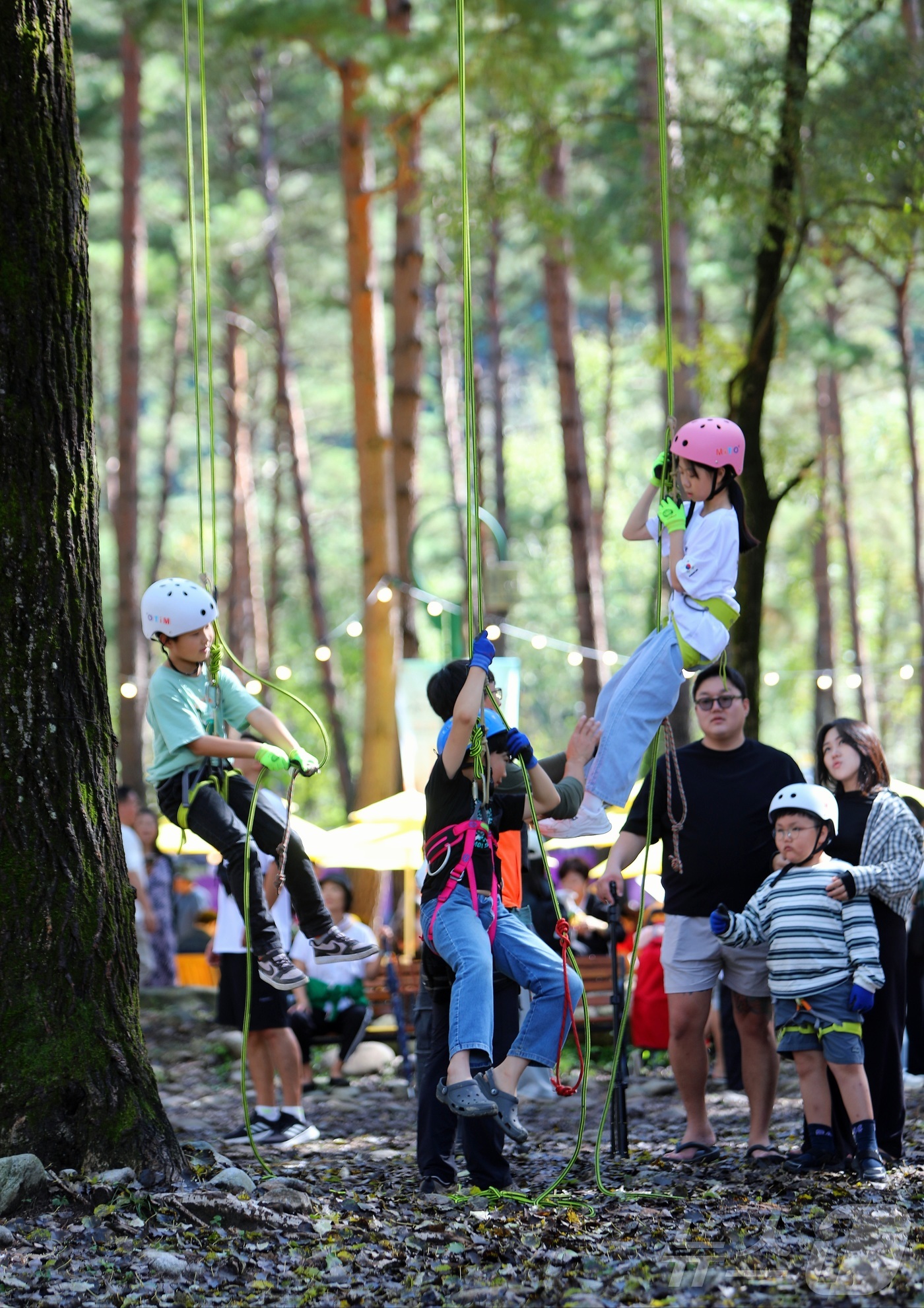 (인제=뉴스1) 이종재 기자 = 8일 강원 인제군 북면 용대리 일원에서 열린 \'2025 인제 가을꽃 축제\'를 찾은 관광객들이 다양한 체험을 즐기고 있다. 지난달 27일 개막한 …