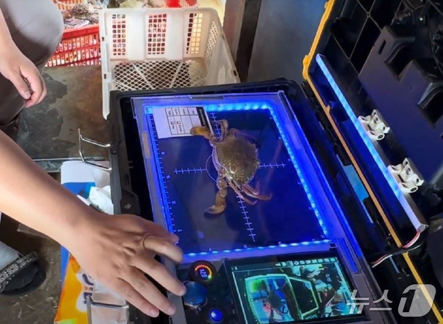 본문 이미지 - 미국 시푸드AI사의 크랩스캔360(CrabScan360)은 갑각류를 대상으로 실시간 스캐닝해 크기, 무게 등의 정보를 인식·판단한다(출처:시푸드AI 누리집)