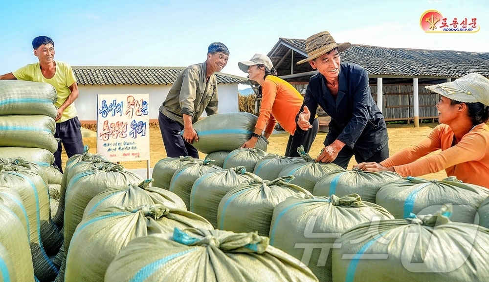 (평양 노동신문=뉴스1) = 북한 노동당 기관지 노동신문은 9일 영광군의 최우수농업군인들의 이야기를 소개하면서 이들이 "전례없이 빠른 속도로 벼가을걷이와 낟알털기를 추진하고 있다" …