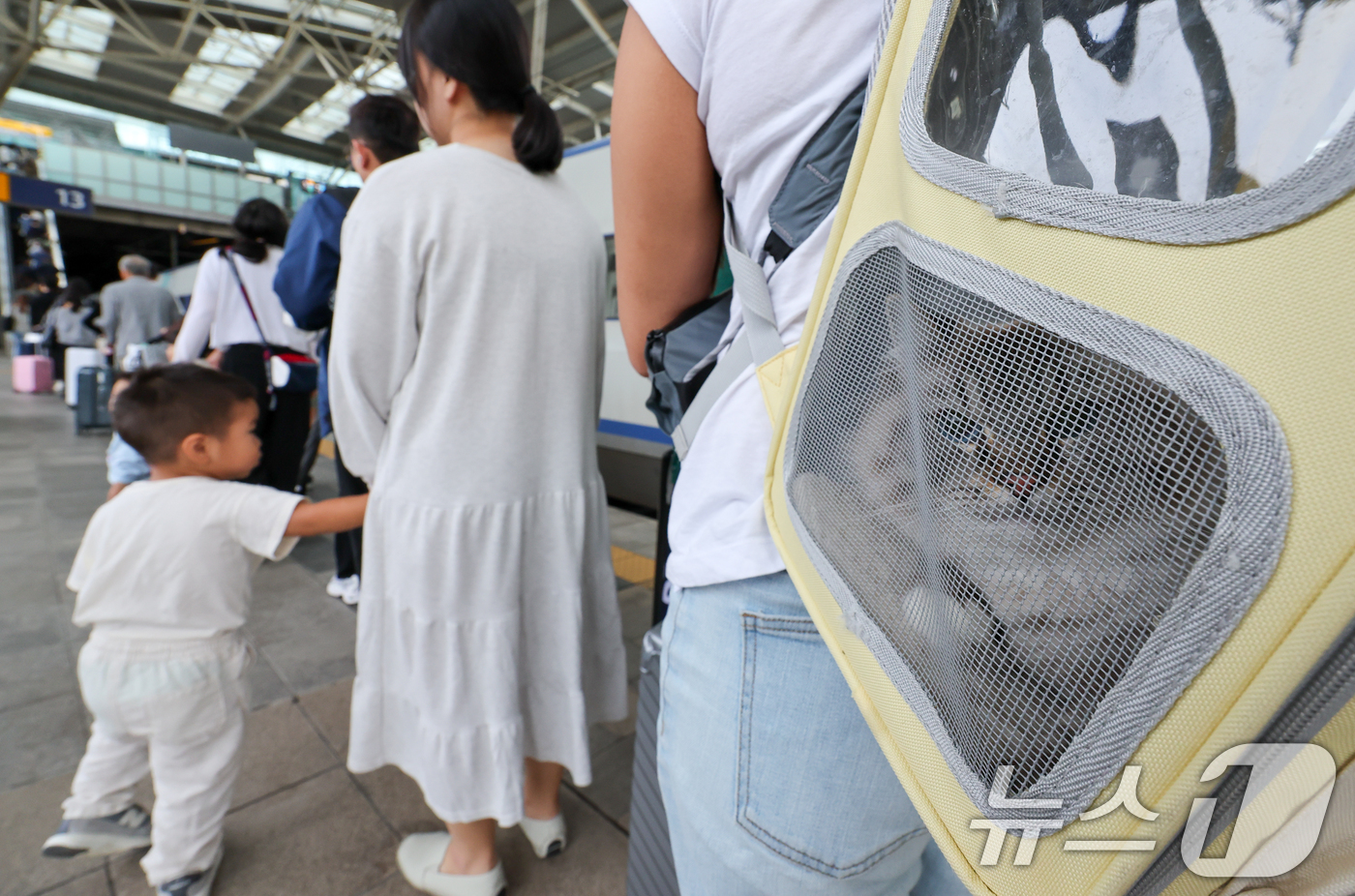 (서울=뉴스1) 안은나 기자 = 추석연휴 마지막 날이자 한글날인 9일 서울역에서 이동장에 실린 반려묘가 귀경객과 귀가하고 있다. 2025.10.9/뉴스1