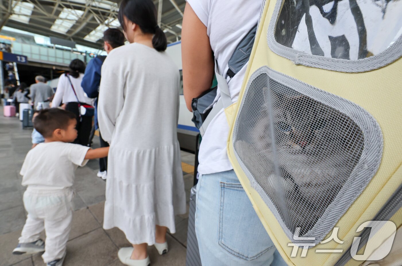 본문 이미지 - 추석연휴 마지막 날이자 한글날인 9일 서울역에서 이동장에 실린 반려묘가 귀경객과 귀가하고 있다. 2025.10.9/뉴스1 ⓒ News1 안은나 기자