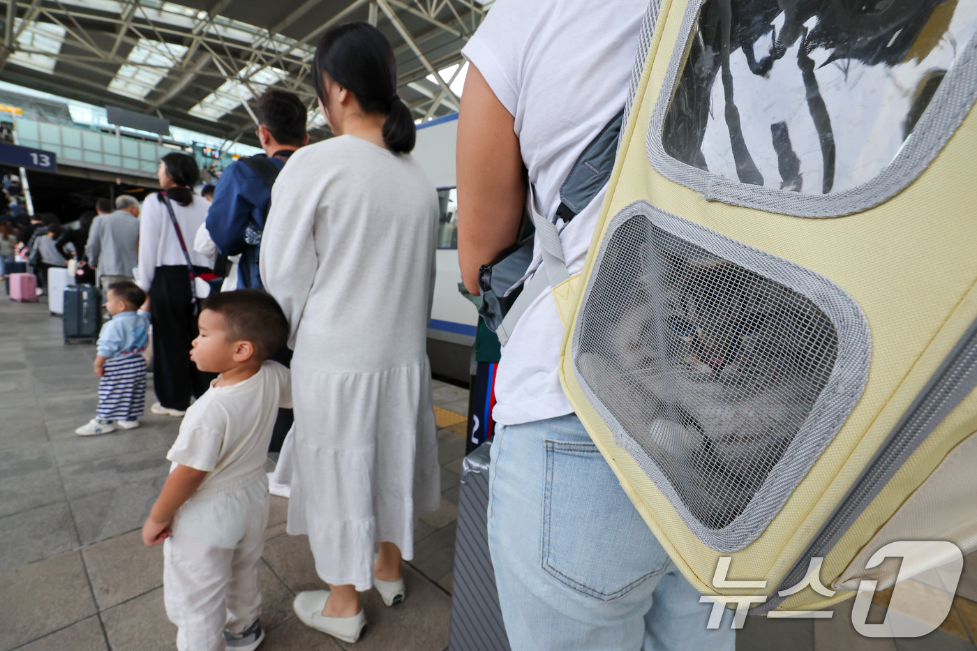 (서울=뉴스1) 안은나 기자 = 추석연휴 마지막 날이자 한글날인 9일 서울역에서 이동장에 실린 반려묘가 귀경객과 귀가하고 있다. 2025.10.9/뉴스1