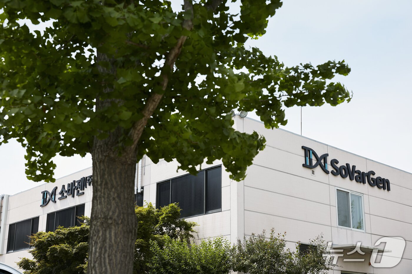 본문 이미지 - 대전 문지동캠퍼스 소재 소바젠 본사(카이스트 제공)