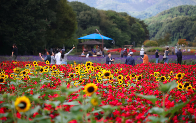 함양 상림공원 국가 유산 야행 선정…숲·생태·역사 초점