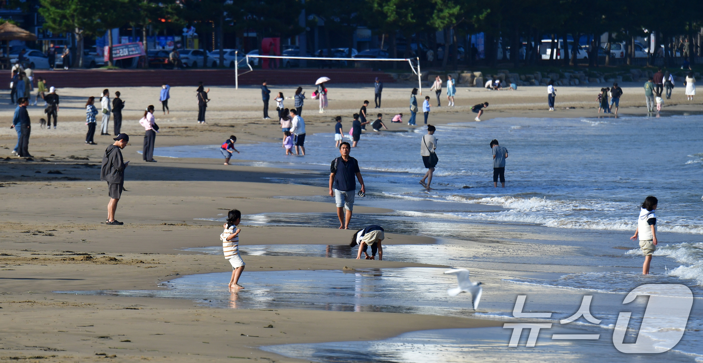 (포항=뉴스1) 최창호 기자 = 9일 오후 경북 포항시 북구 영일대해수욕장에서 관광객들이 물놀이를 즐기고 있다. 2025.10.9/뉴스1