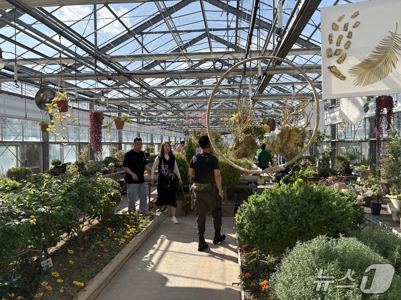 본문 이미지 - 온실 전시장 내부.2025.11.01/뉴스1 강미영기자