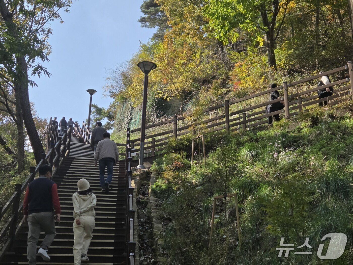 본문 이미지 - 11월 첫 주말인 1일 오전 대전 장태산자연휴양림을 찾은 시민들이 산책을 즐기고 있다. ⓒ 뉴스1 김종서 기자