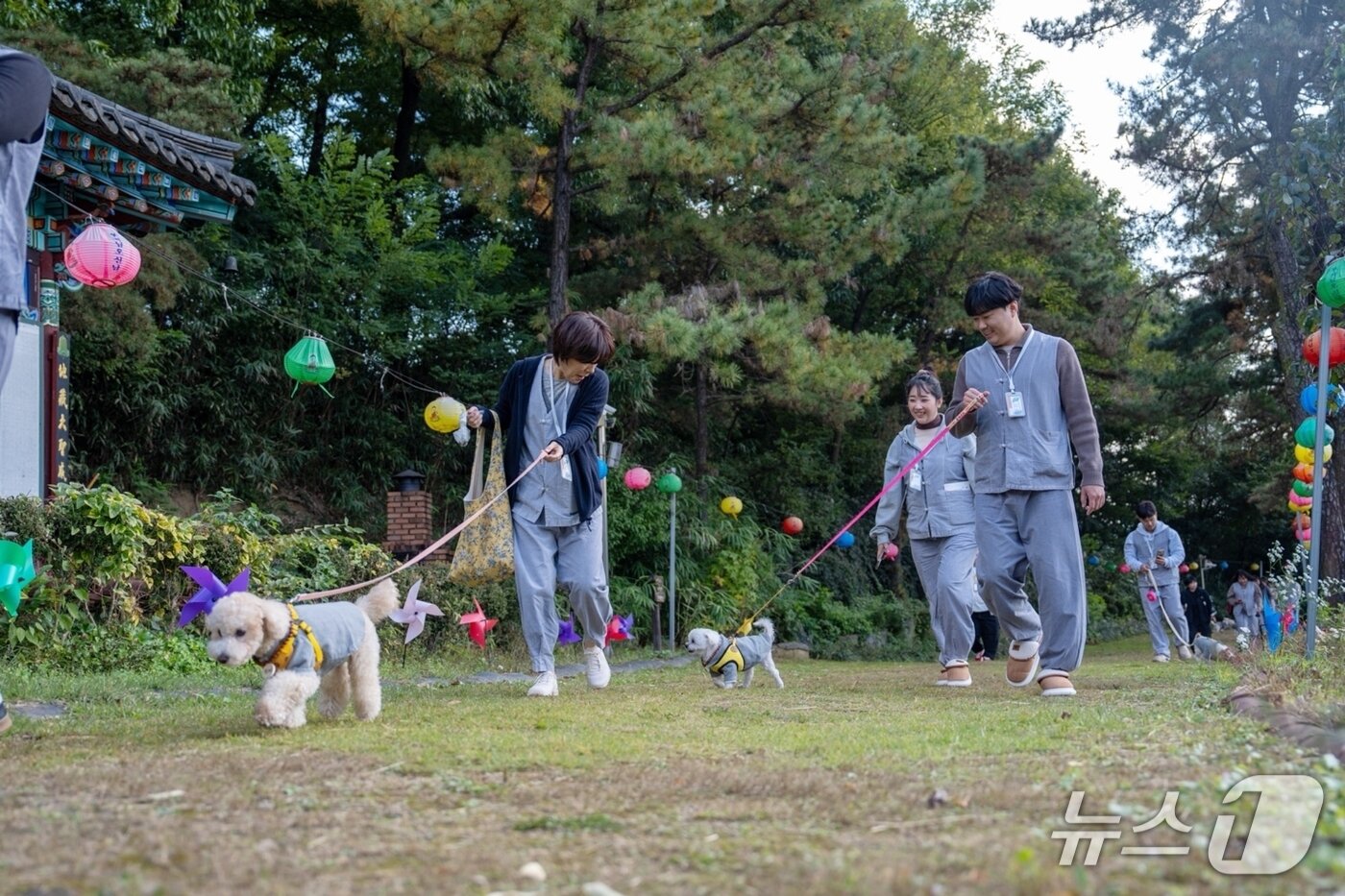 본문 이미지 - 1일 충북 증평 미륵사에서 진행한 '댕플스테이' 참가자들이 반려견과 사찰을 돌아보고 있다.(증평군 제공, 재판매 및 DB금지)/뉴스1