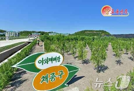 (평양 노동신문=뉴스1) = 북한 노동당 기관지 노동신문은 10일 "경애하는 총비서동지의 구상에 따라 산림복구가 개시된이래 각지에 현대적인 양묘장들이 일떠서고 100여만 정보의 산 …