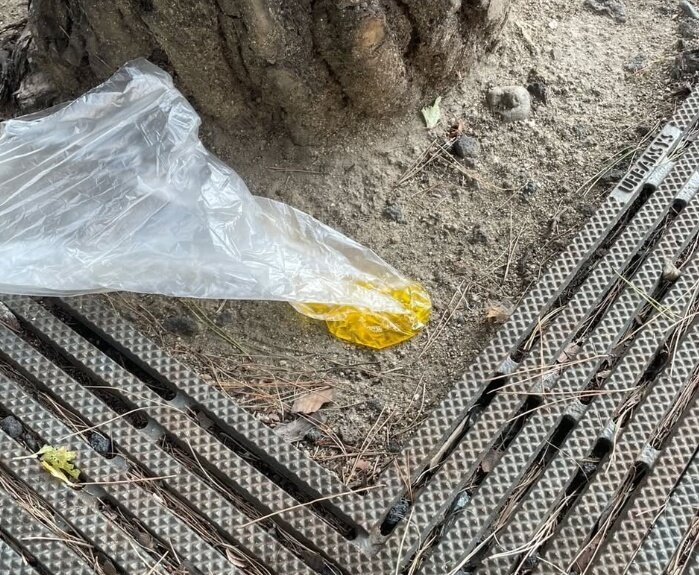 본문 이미지 - &#40;보배드림 인스타그램 갈무리&#41;