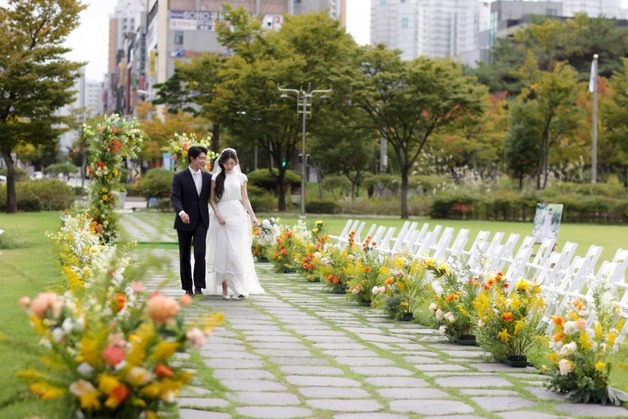 "내년부터 전북도청 잔디광장·전북도립미술관서 결혼식"