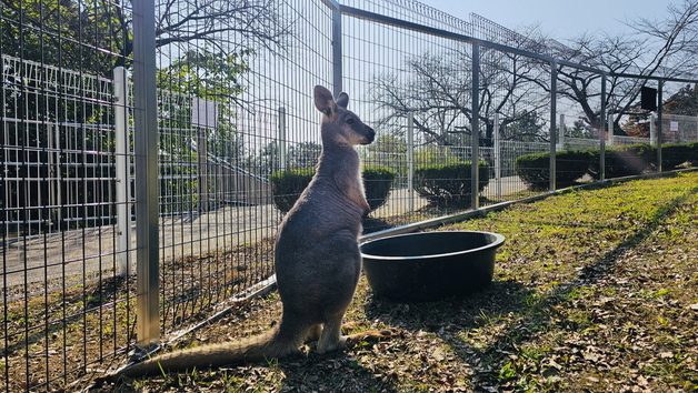 진주 진양호동물원, '멸종위기' 앵무새 등 동물 4종 18마리 추가
