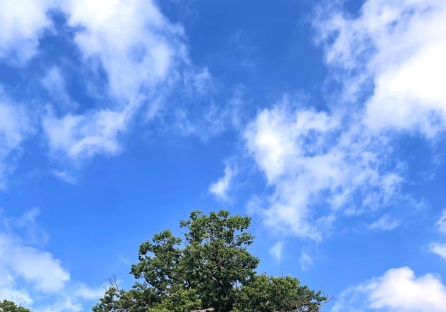 HS효성, 임직원 참여 캘린더 사진 공모전…70여명 참여