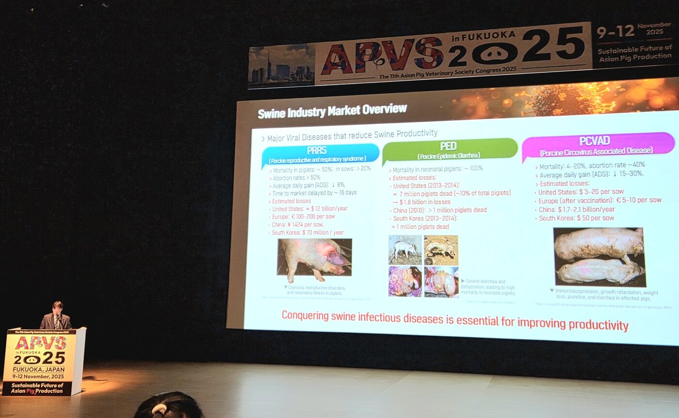 본문 이미지 - 송대섭 서울대 수의과대학 교수가 10일 일본 후쿠오카에서 열린 2025 아시아돼지수의사대회(APVS 2025) 국가 및 지역 현황 보고 세션에서 한국 양돈산업 현황을 발표하고 있다. ⓒ 뉴스1 한송아 기자