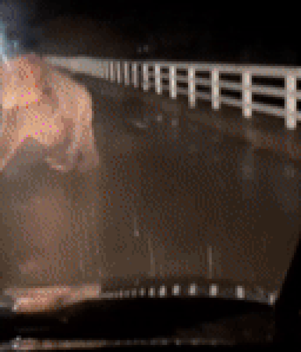 본문 이미지 - 홋카이도 지역에서 주행 중인 차량에 곰이 달려들고 있는 모습./엑스&#40;옛 트위터&#41;