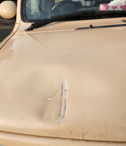 본문 이미지 - 곰의 공격에 손상된 차 &#40;엑스&#40;X&#41; 영상 갈무리&#41;